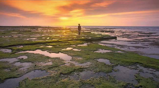 【江陽hjp】陽光、沙灘、海浪、仙人掌